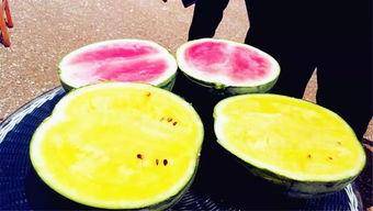 爆料吃瓜专用楼,独家爆料，吃瓜群众狂欢盛宴