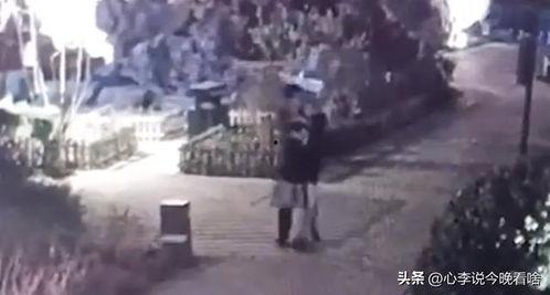 蔚县吃瓜事件最新爆料视频,最新爆料视频揭露惊人内幕